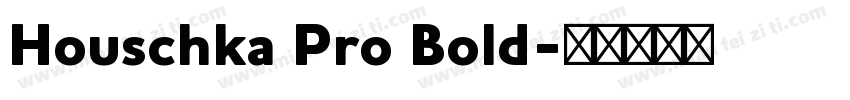 Houschka Pro Bold字体转换